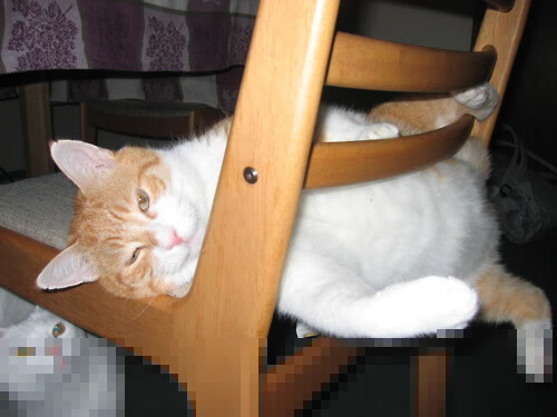 当勒沃库森的节奏哲学遇见奥运战场，门迪如何以掌控力接管关键一役