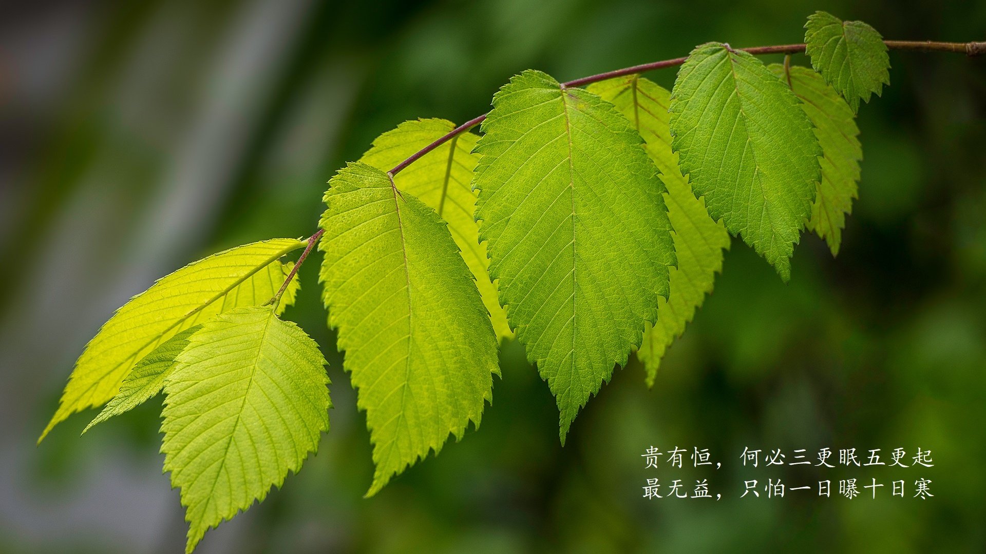 梅西没有出场,却决定了比赛胜负