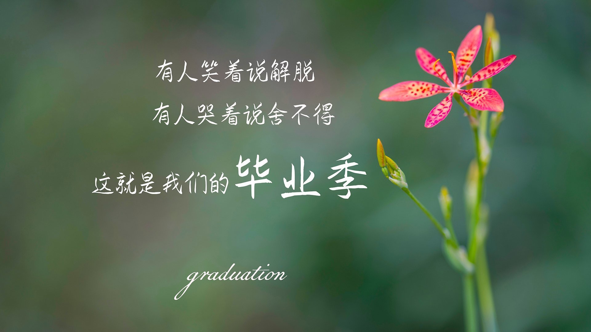 一秒钟的必然，2026世界杯G组，迪亚斯与瑞典闪电战中的时间切片