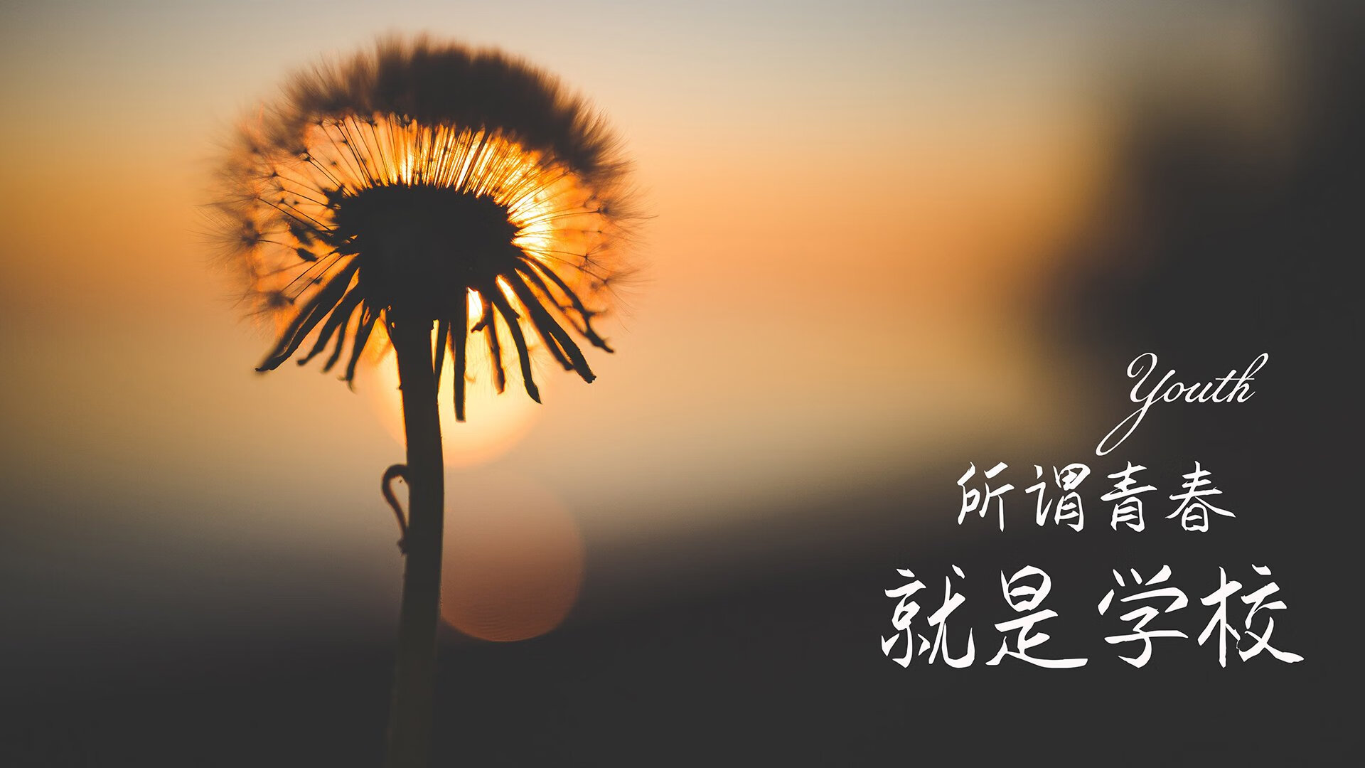他一个人，站在两个世界的接缝处—2026世界杯B组，京多安与那场唯一性的对决