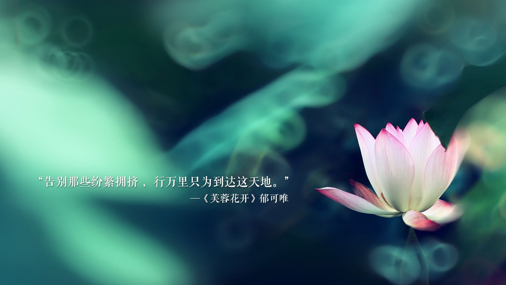 首先,是文章的标题